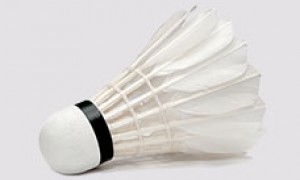 Badminton Nedir?