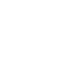 YANG YANG 300-B (BWF) ONAYLI TOP